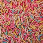 Crvi obojeni 1 merica (~25g)