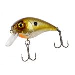 Chubby 38 FXAT-800366